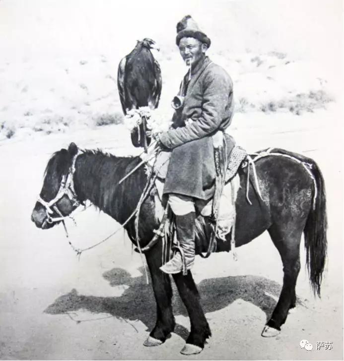 阿拉伯土豪买飞机,阿拉伯土豪买猎鹰