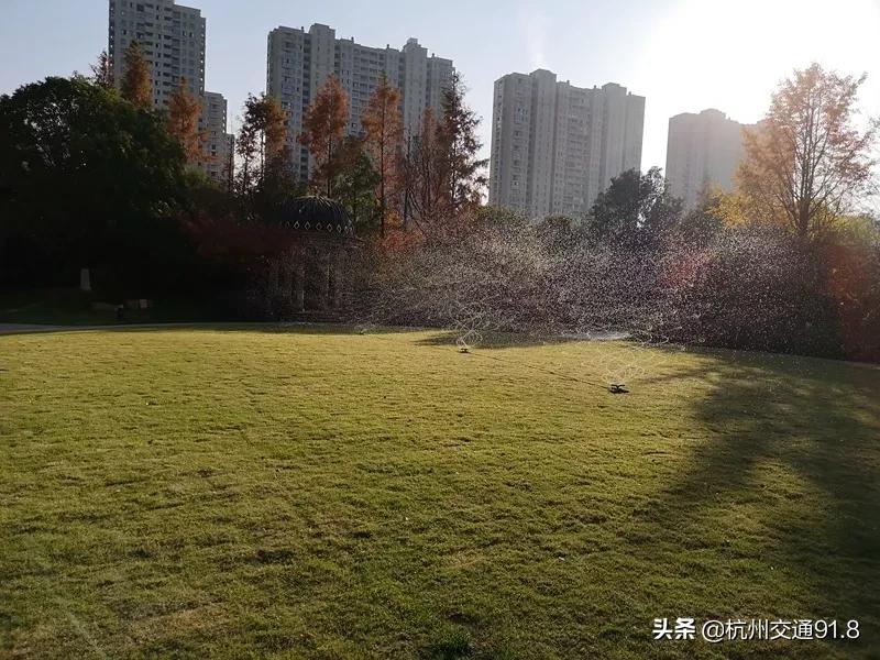 杭州市公安局通报表扬名单,杭州7户家庭被通报处理