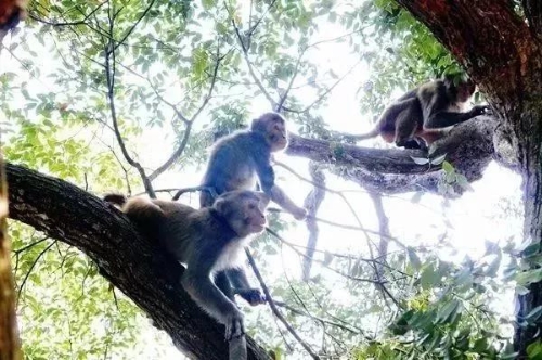女神节送自己一个惊喜,女神节送福利礼物