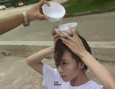 袁洁莹为何息影,袁洁莹巅峰时的美貌