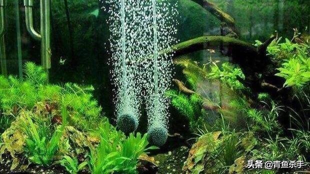 水中氧气含量与水深关系,水中氧气不足怎么钓鱼钓深钓浅