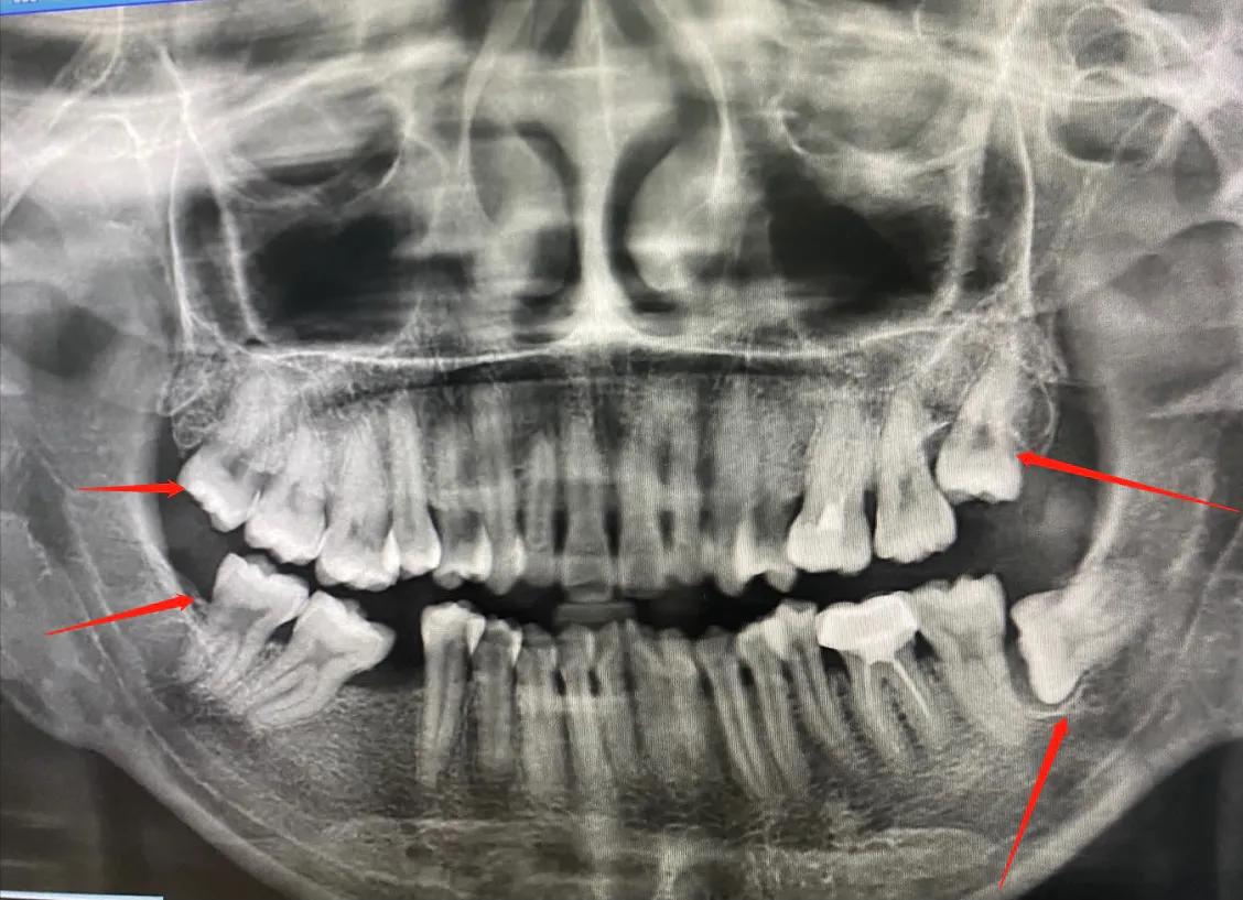 潘潘的记事簿 (潘潘的梦幻故事)