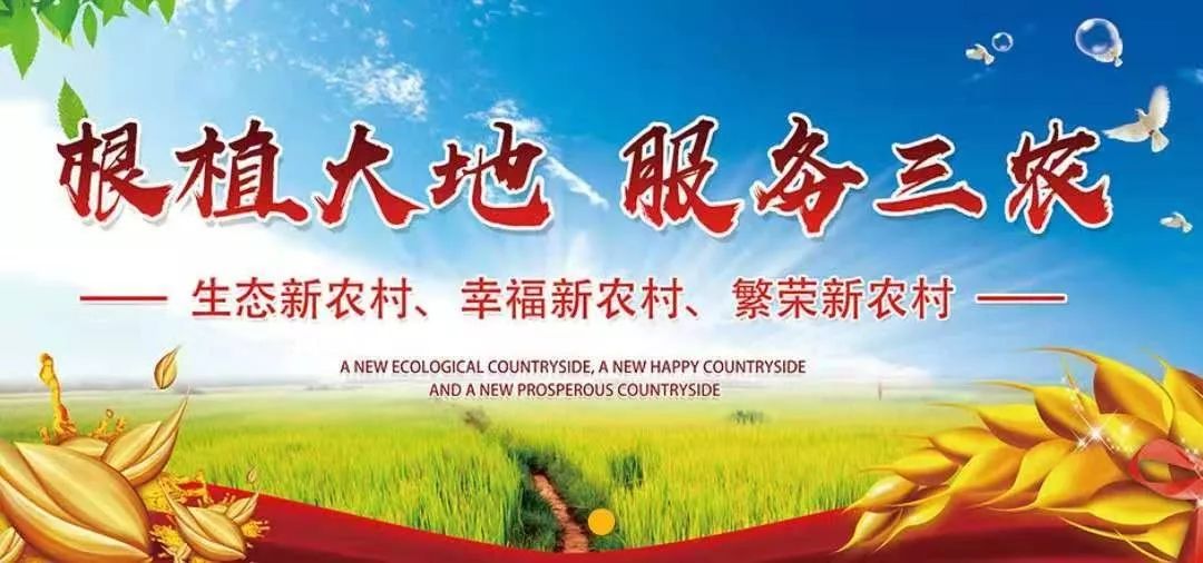 农产品出售前景如何,今年农产品走势