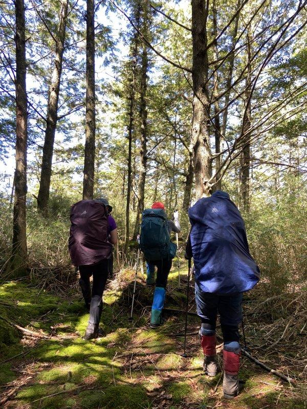 gregory格里高利登山包z40,gregory格里高利男士商务背包