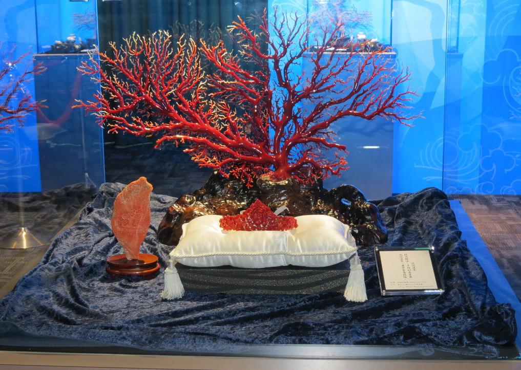 日本红珊瑚有假货吗,红珊瑚真伪视频