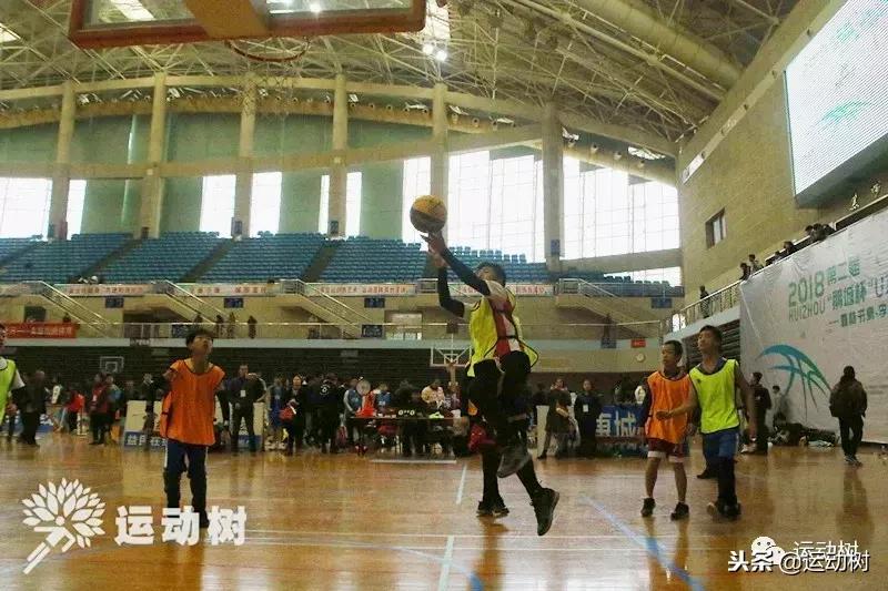 中国篮球名宿走进学校,中国篮球名宿26分