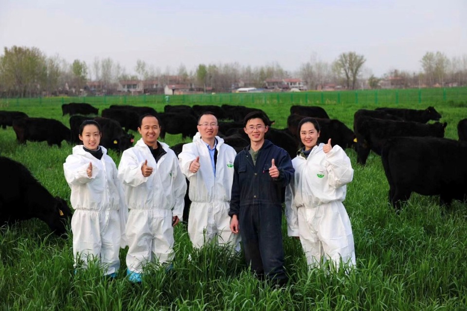 秸秆废物利用价格,湖北沙洋秸秆回收变废为宝