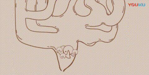 多才多“痔”?久坐的你是否也掌握了“痔慧”的奥义