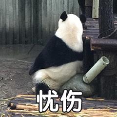 植物神经功能紊乱自愈案例,植物神经功能紊乱耳鸣