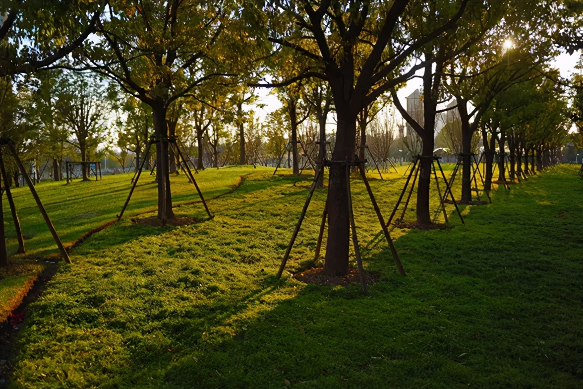 南通这些“网红”步道,你去过吗?