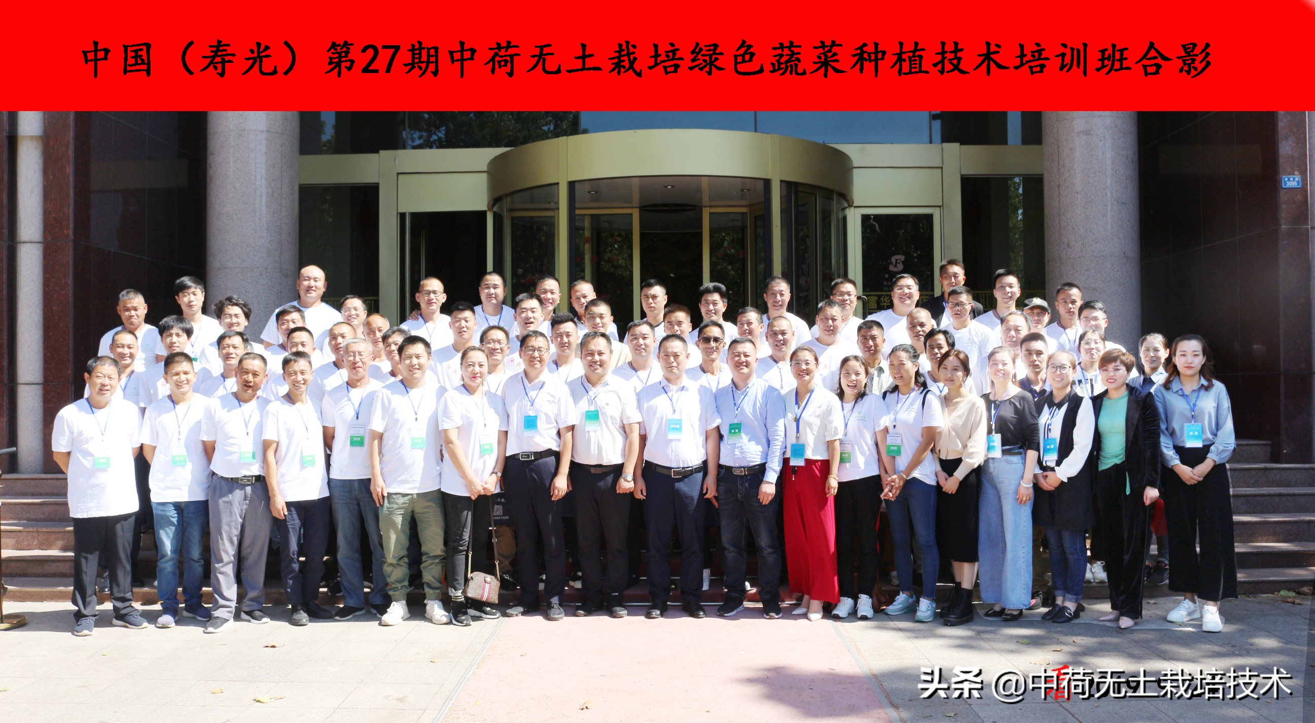 无土韭菜栽培技术,生菜无土栽培视频