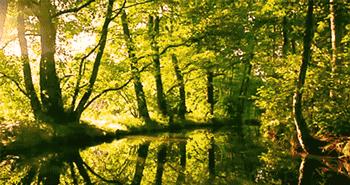 辽阳碧湖温泉度假村怎么样,太美了世界级风景