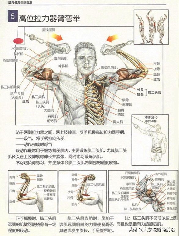 减脂午餐一周安排表,减脂健身计划一周表图