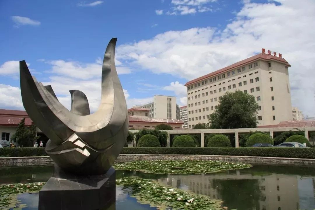 康复领域领军人物,康复医学八大康复方向