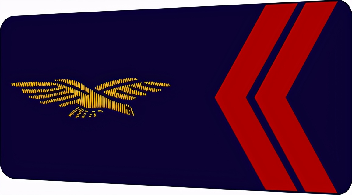 法国将军军衔等级,法国上校是什么军衔