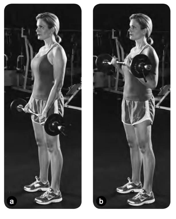 怎样让手臂的肌肉线条更明显,如何让手臂肌肉线条变明显