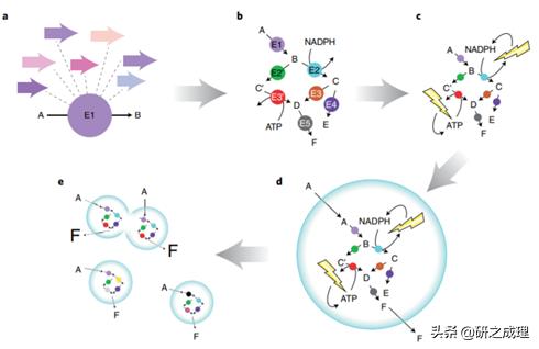 催化周报：10篇子刊，14篇Angew,你想要的前沿都在这里