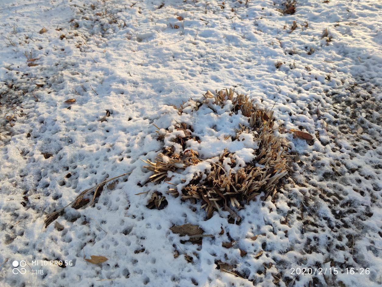 小米10pro的上手体验,小米10pro全方位测评