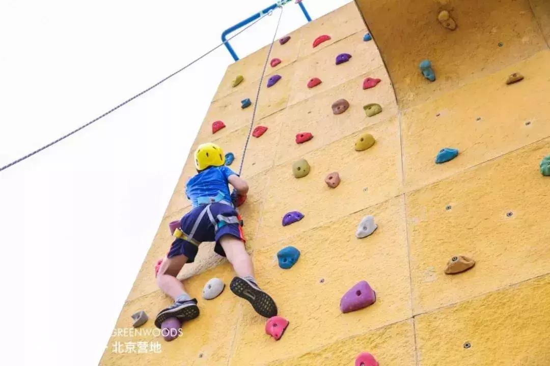 营响未来营地教育基地,营响未来营地直播