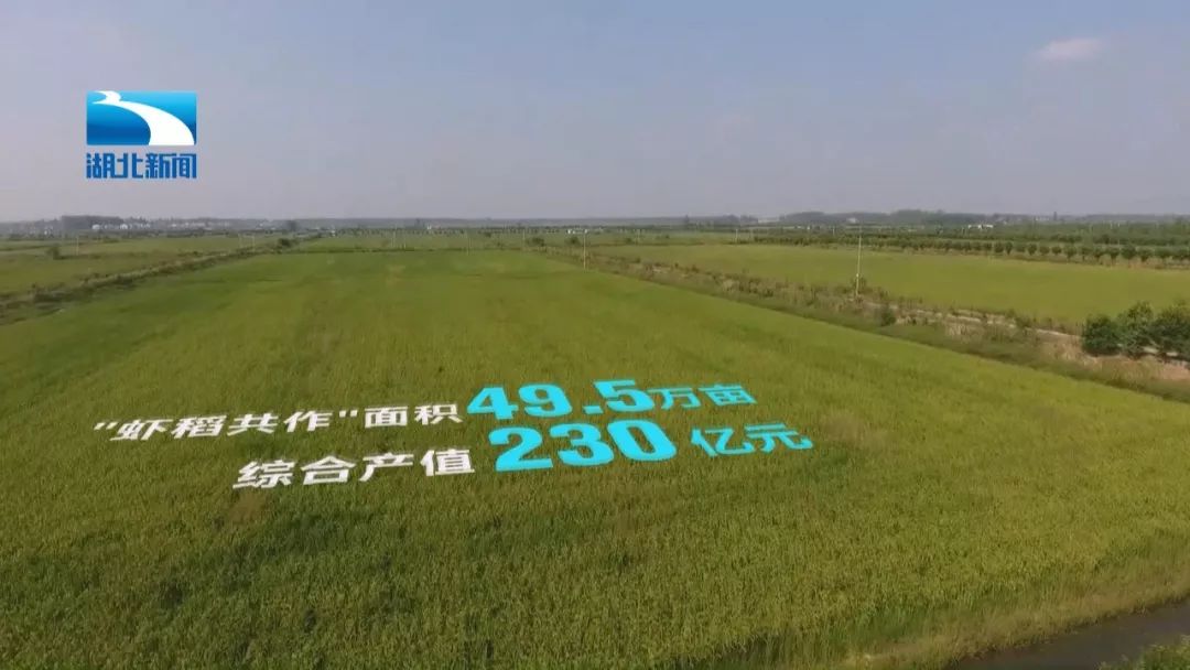 潜江改革开放,潜江市未来发展规划