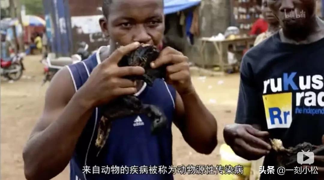 全球第一部疫情纪录片,最严重的疫情纪录片