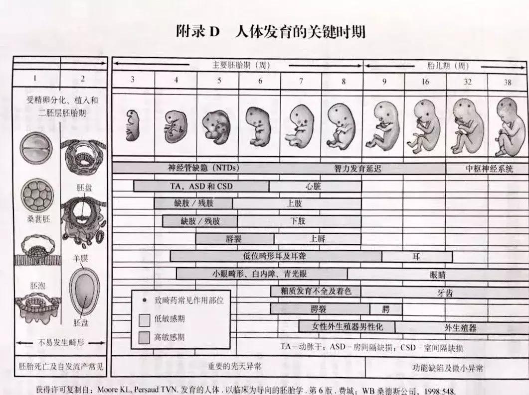 孕妇退烧了还要吃退烧药吗,孕妇可以服用哪种退烧药