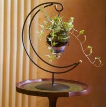 园艺疗法,园艺疗愈