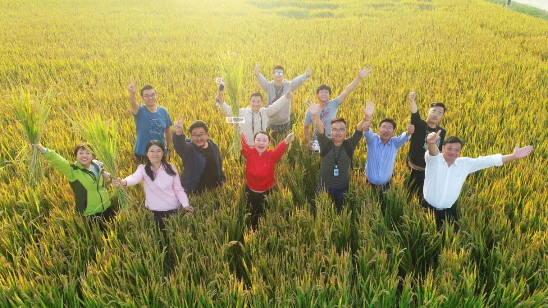 溧阳庆丰村怎么突然火了起来,答案或许就在这里