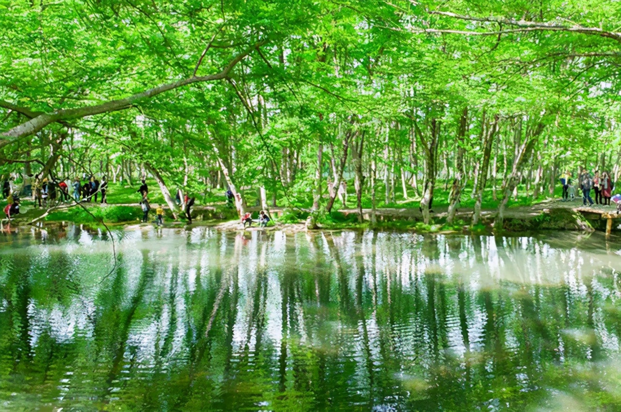 黄山西溪湿地,去西溪湿地