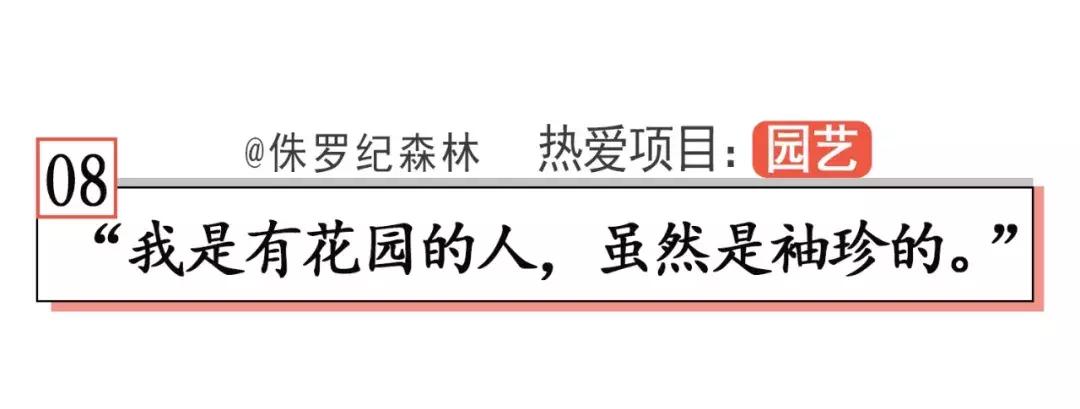 当你觉得人生卡住了,我建议你看看他们