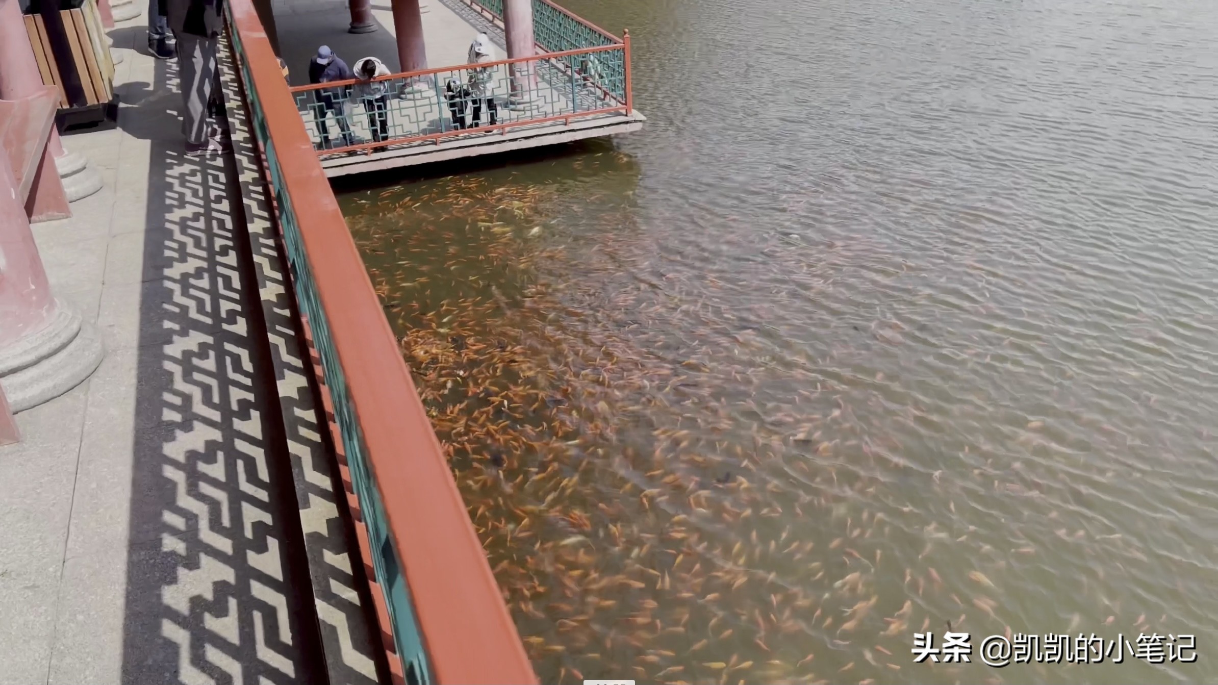 横山寺樱花园门票,横山寺和龙王塘樱花园