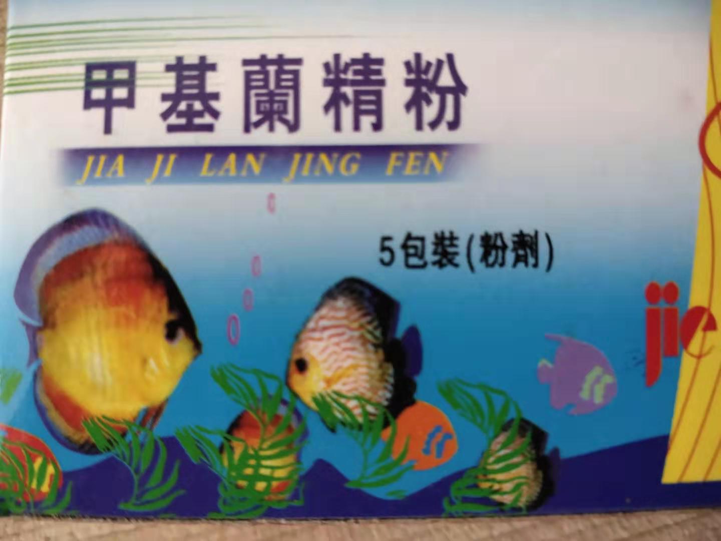 观赏鱼体表检疫,观赏鱼做检疫一次多长时间