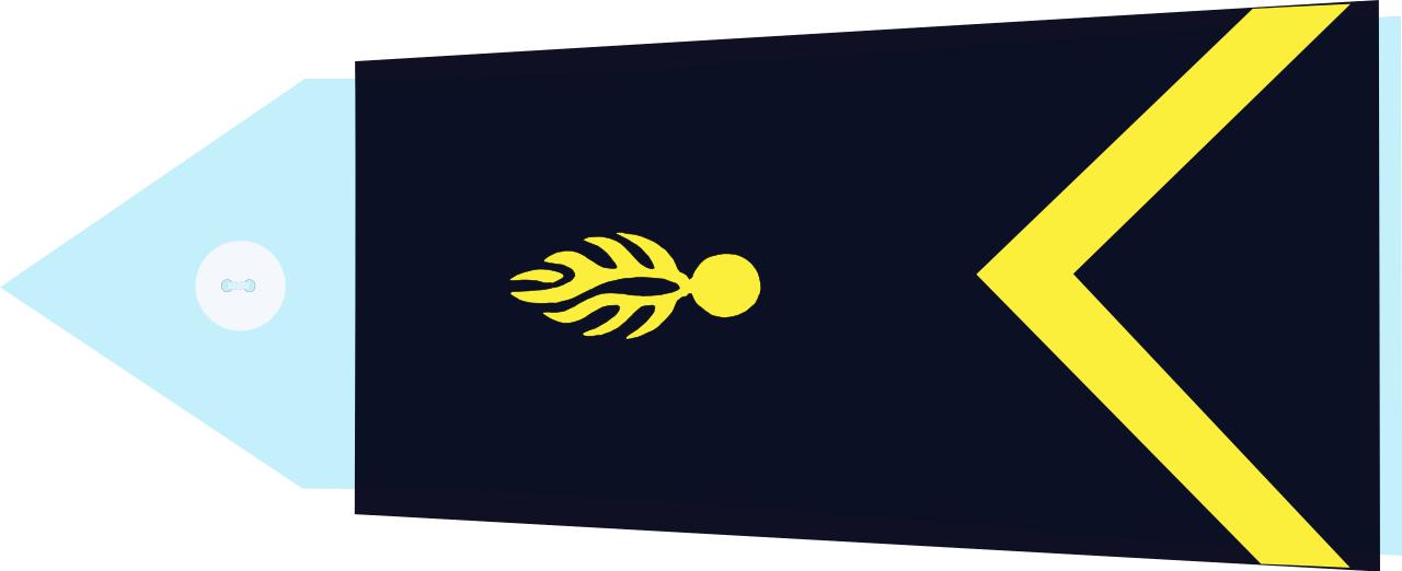 法国将军军衔等级,法国上校是什么军衔