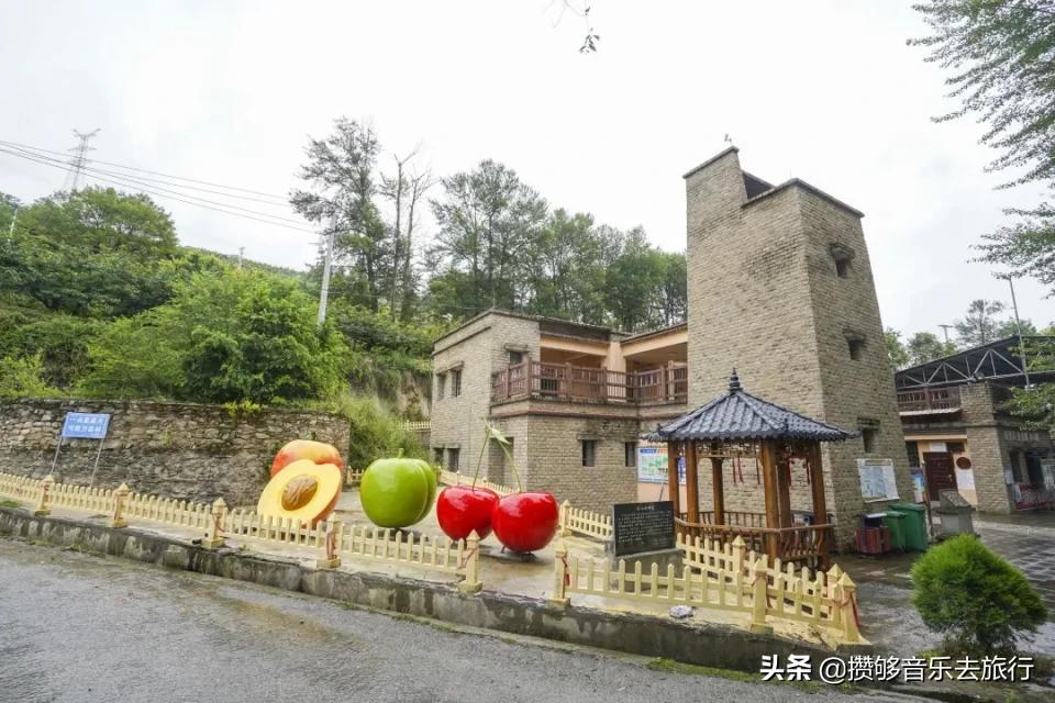 汶川三宝有哪些,汶川三宝市场枇杷