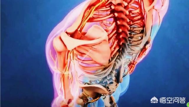 治疗颈椎病眩晕的药物,颈椎病疼痛麻严重吗怎么治疗