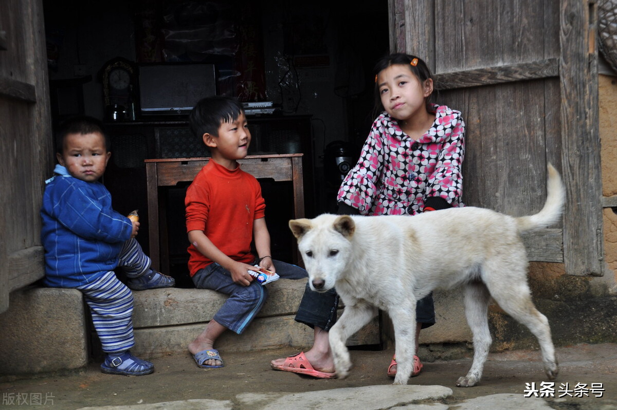 我为什么不吃猪肉,我为什么不吃牛肉