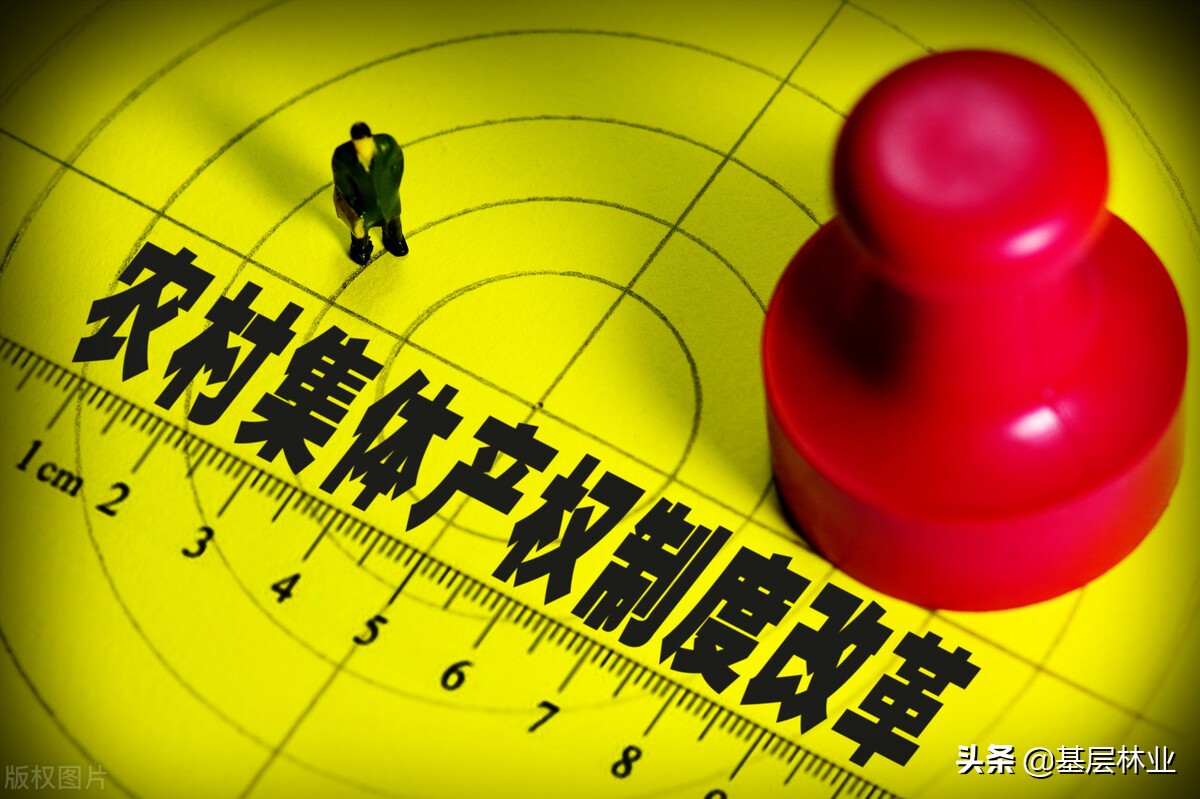 承包林地合同到期林权证还有效吗,新老林权证以哪个为准