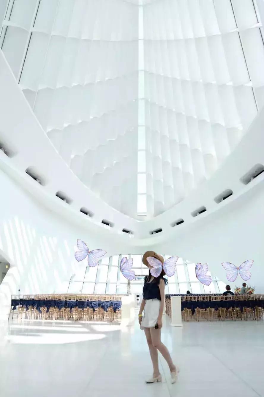 芝加哥及周边的好去处,芝加哥周边游玩