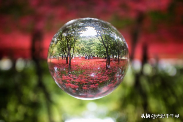 如何利用水晶球摄影,玩转摄影小技巧