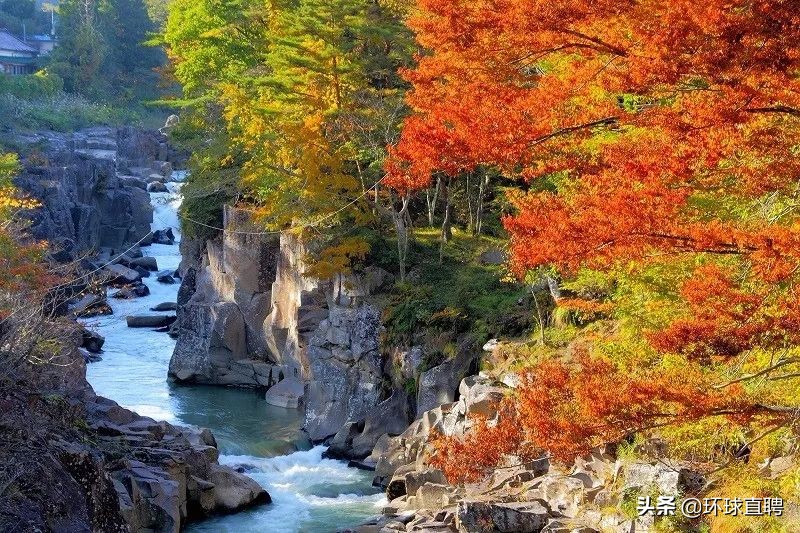 疫情中唯一没有失守的岩手县，你真的没有好好认识过它！