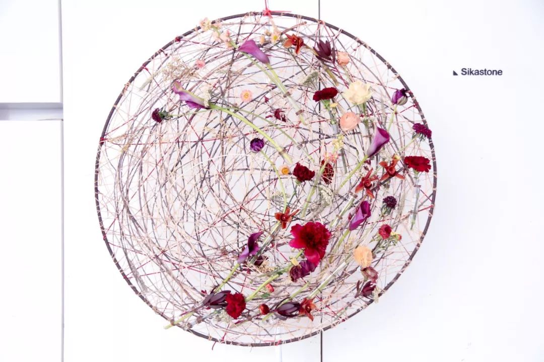 6天,教你用色彩“粉”碎所有不可能