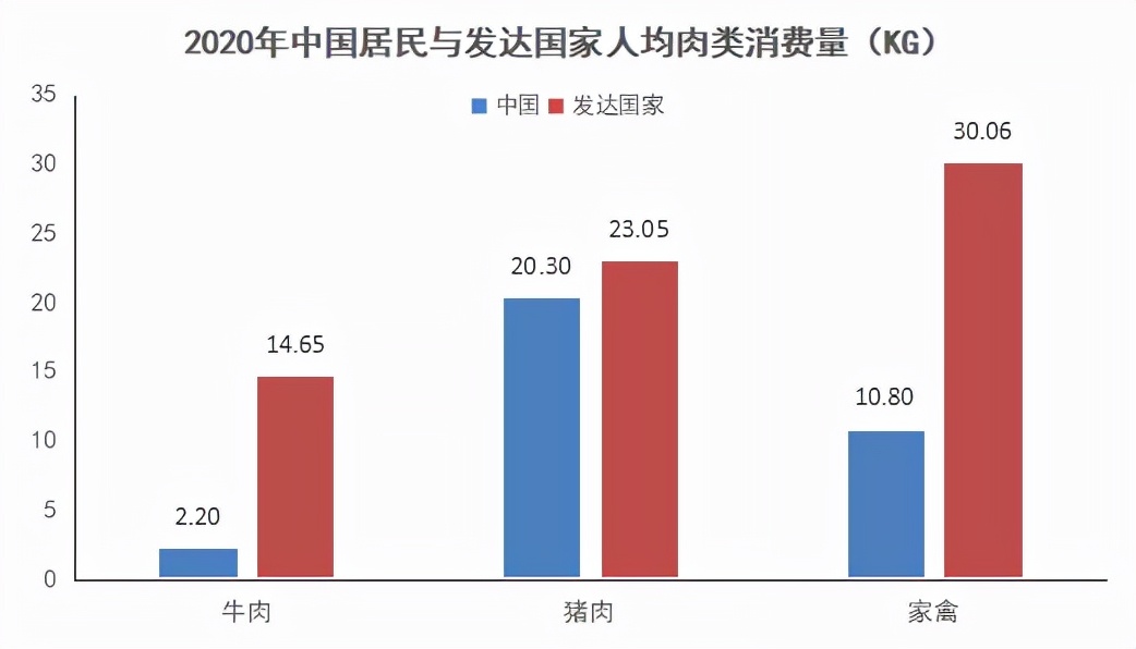 2022年中国饲料行业分析报告,中国饲料发展趋势论文1500字