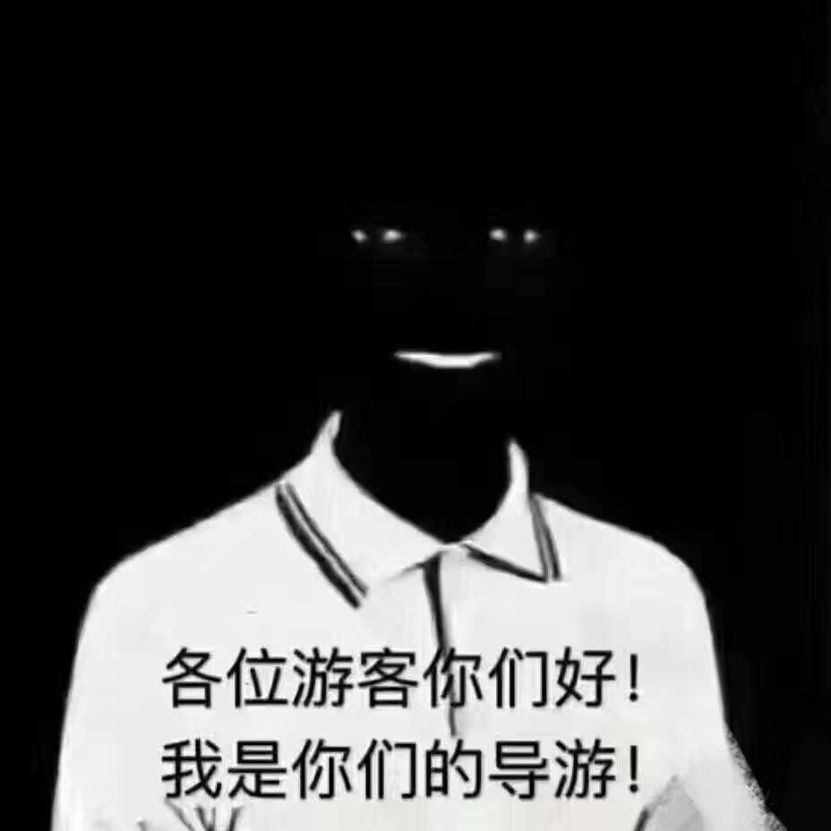 成为一个普通导游是怎样的体验