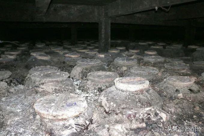 洋河为什么能夺得绵柔型白酒,洋河白酒有什么优势