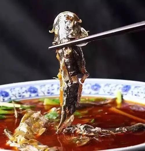 名贵的六种鱼你吃过几种,20种名贵海鱼