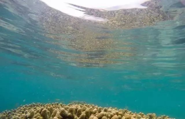 印度洋在哪地理位置,印度洋的地理简介