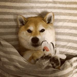 3块钱的维生素和300块钱的有什么区别？吃维生素真的有用吗？