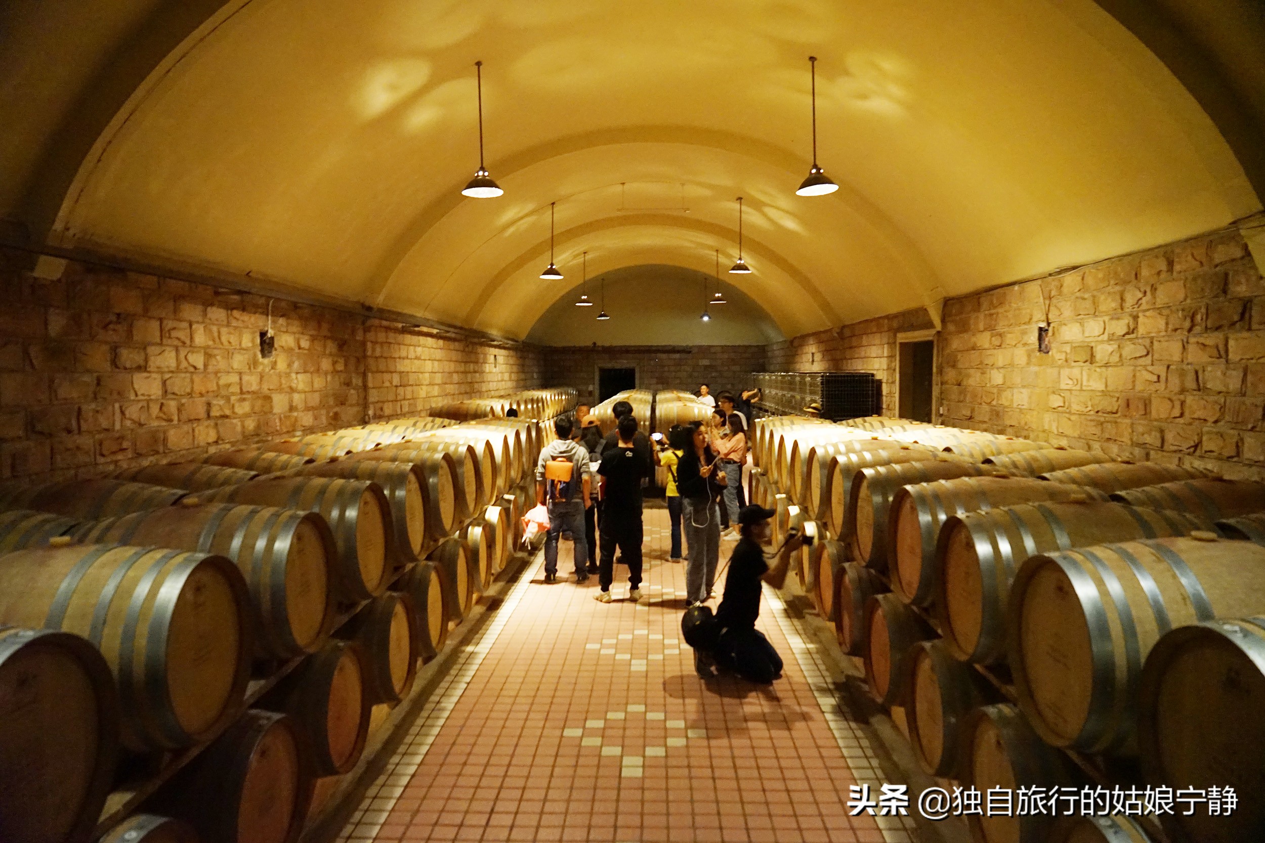 宁夏酒庄参观推荐,宁夏葡萄酒排行榜前十名酒庄