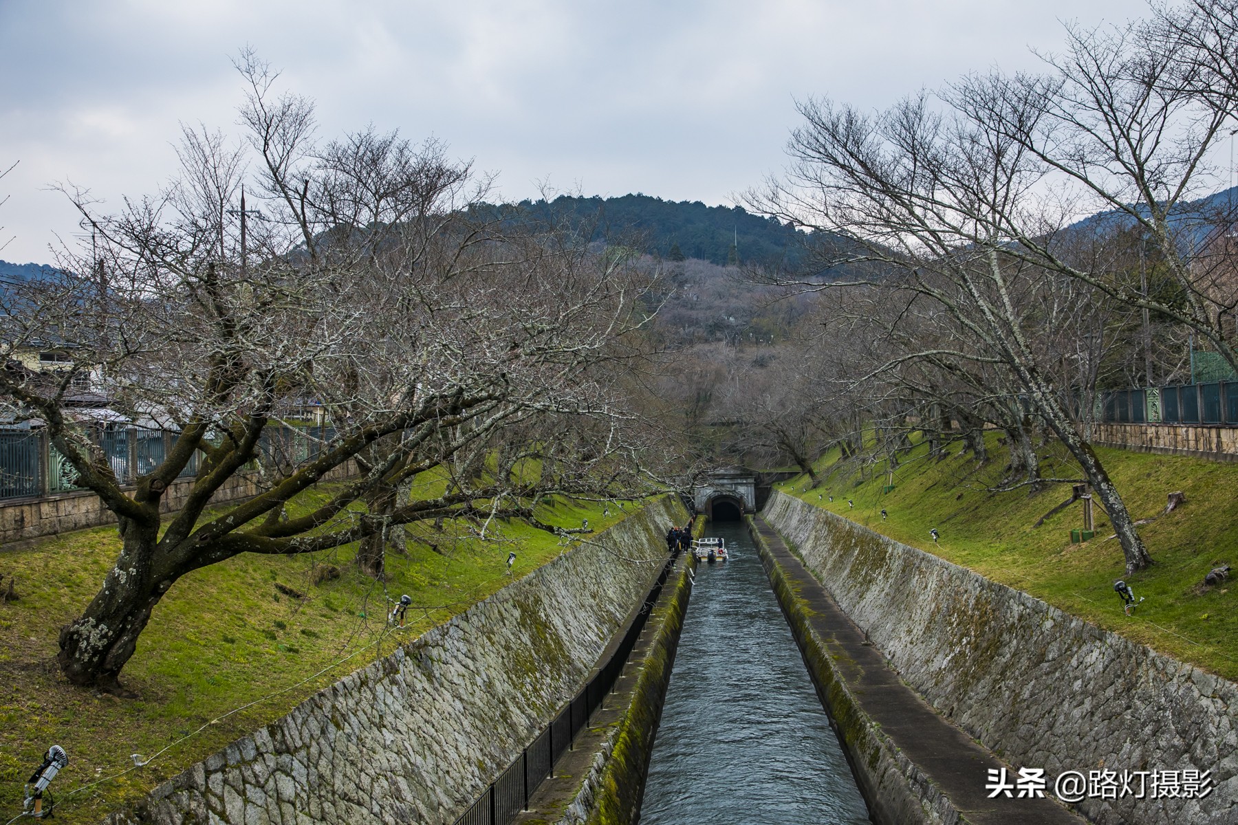 2020日本赏樱花路线,赏樱季去日本看全球最美樱花