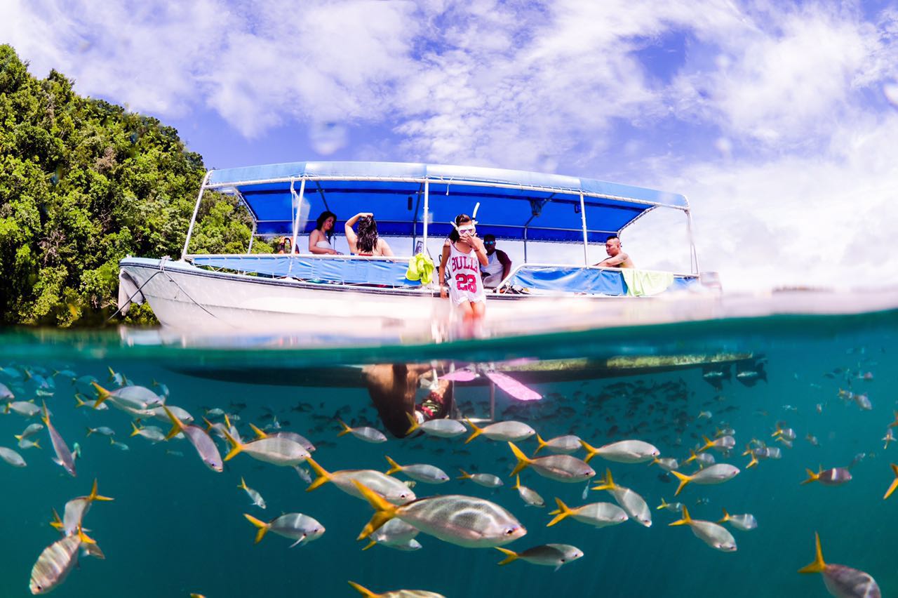 马尔代夫对比巴厘岛普吉岛帕劳,帕劳海滩自由潜水